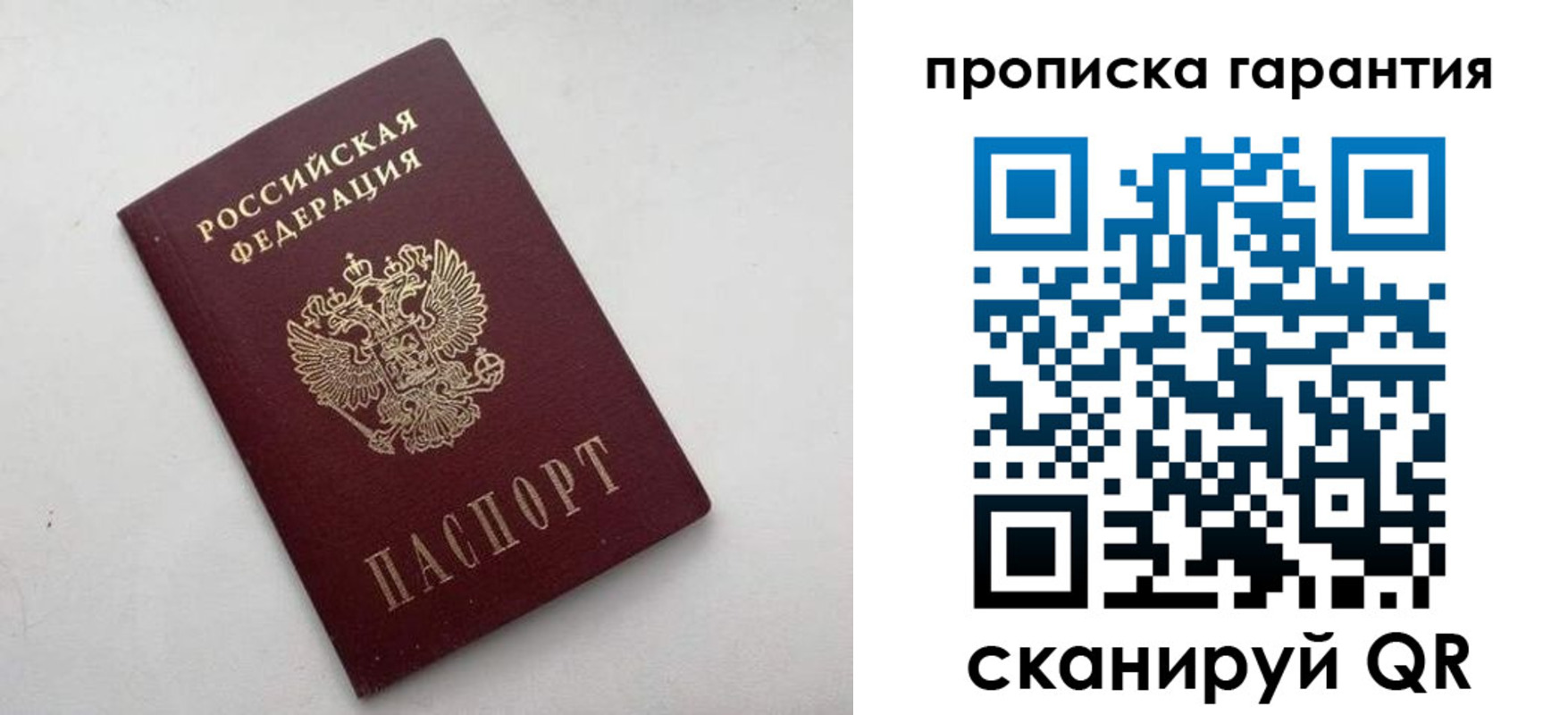 прописка поиск в Шадринске